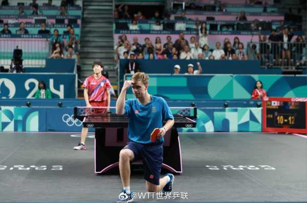 交媒体的预 交媒体的预