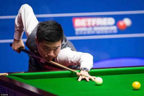 第12周牛 第12周牛