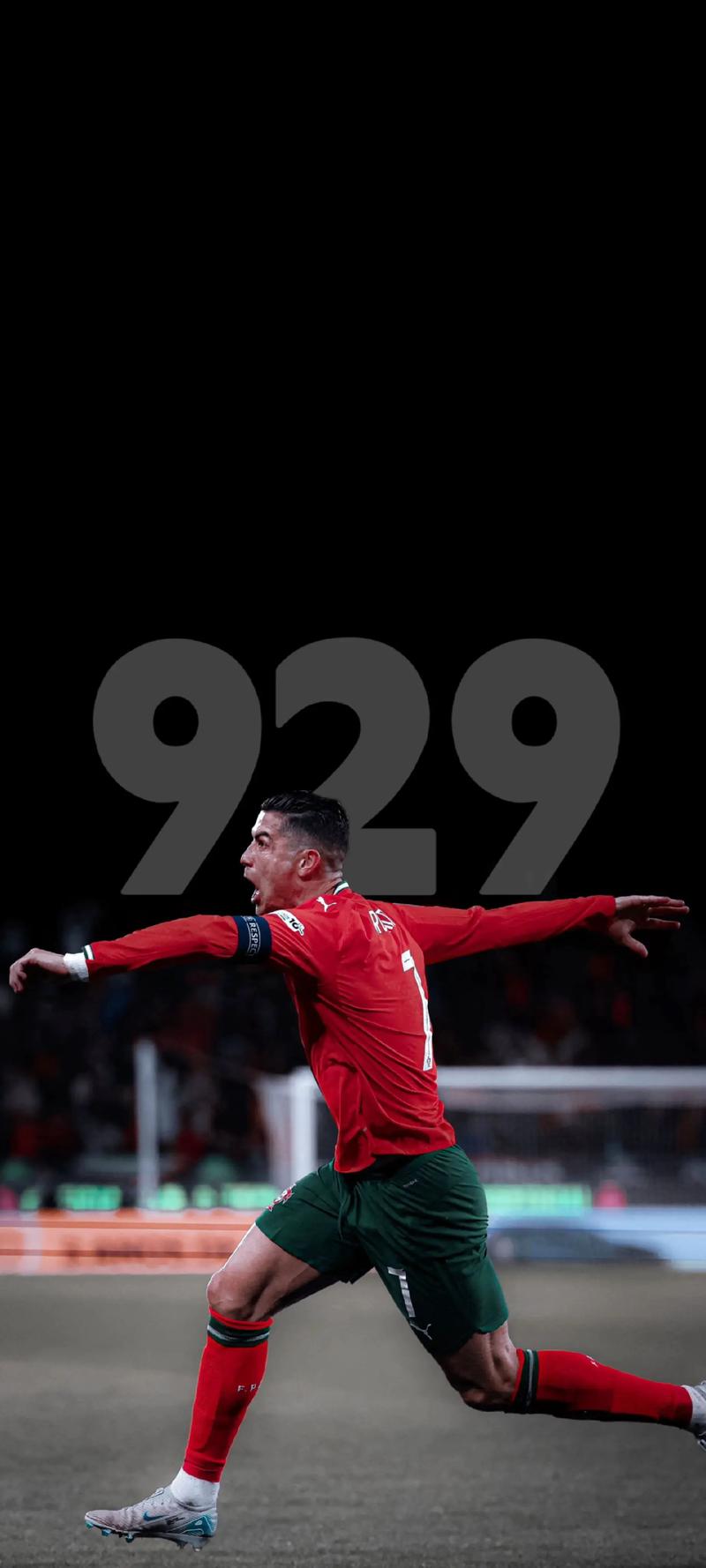 复购路径